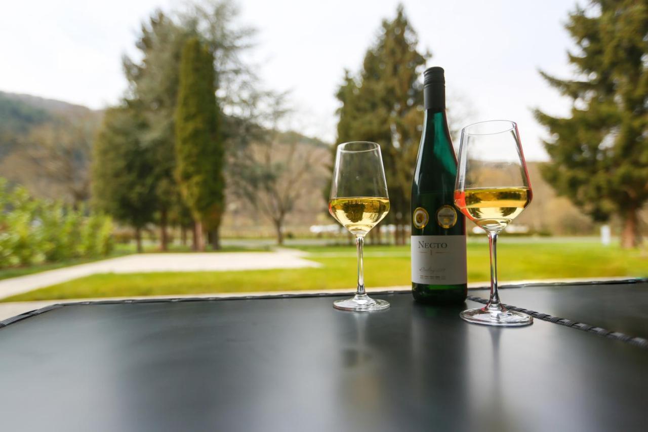 Rieslingresidenz Apartment Traben-Trarbach